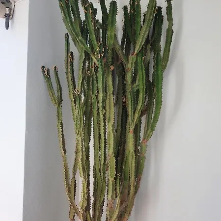 Guapa Vakantiehuis L'Estartit